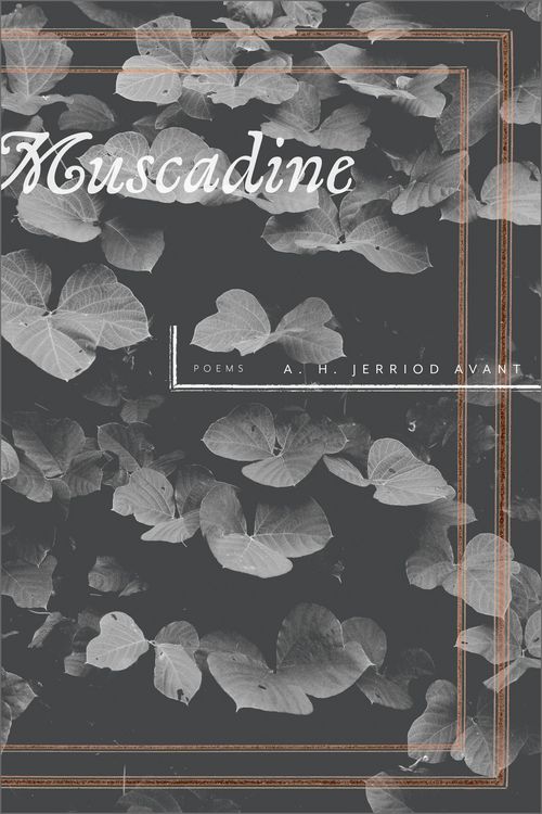 Produktbild: Muscadine