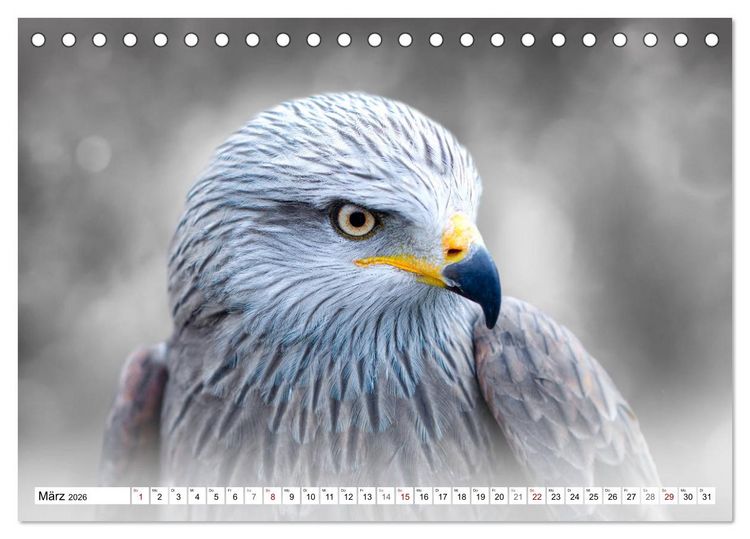 Produktbild: Erfolgreiche J&auml;ger (Tischkalender 2026 DIN A5 quer), CALVENDO Monatskalender