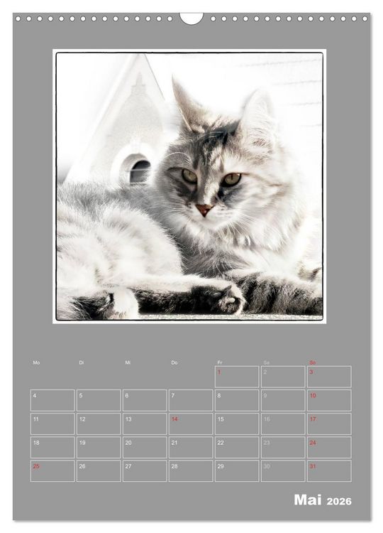 Produktbild: Katzen Blues / Planer (Wandkalender 2026 DIN A3 hoch), CALVENDO Monatskalender