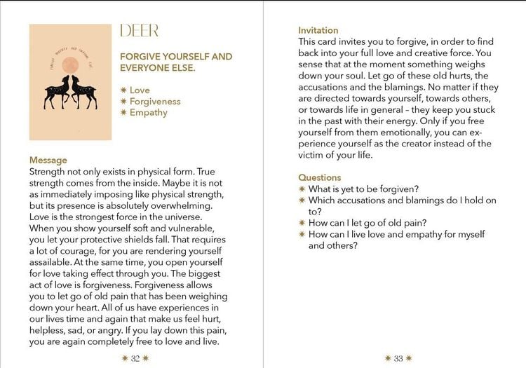 Produktbild: Spiritual messages from your Animal Spirit