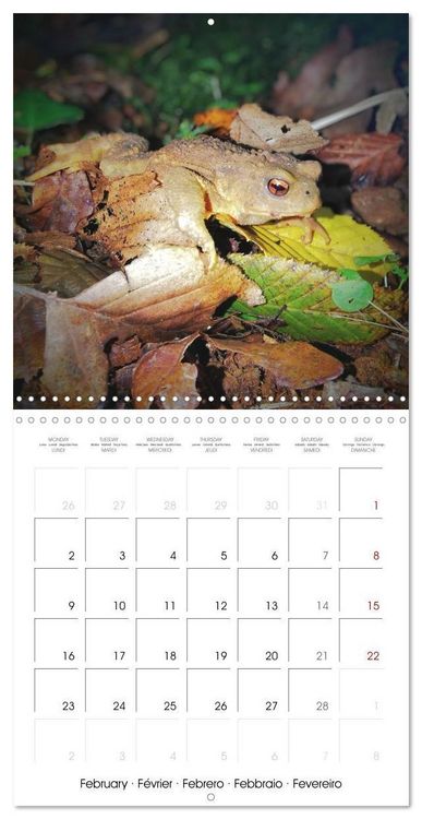 Produktbild: Blt, S: Esp&egrave;ces de Nouvelle Aquitaine (Calendrier mural carr