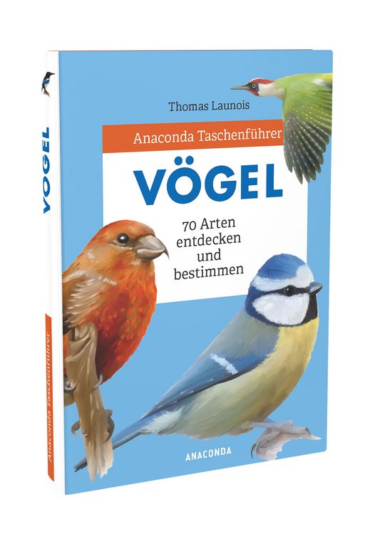 Produktbild: Anaconda Taschenf&uuml;hrer V&ouml;gel. 70 Arten bestimmen und entdecken