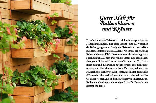 Produktbild: Das kleine Buch: Topfg&auml;rtner