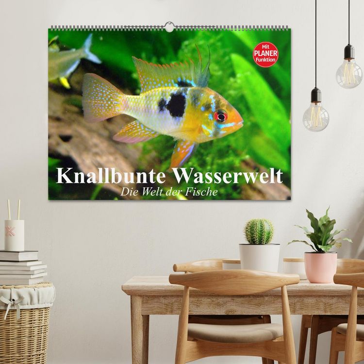 Produktbild: Knallbunte Wasserwelt. Die Welt der Fische (Wandkalender 2026 DIN A2 quer), CALVENDO Monatskalender