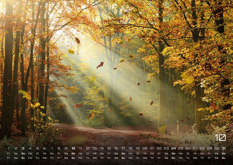 Produktbild: Wald - Erholung f&uuml;r Mensch und Tier - 2027 - Kalender DIN A2