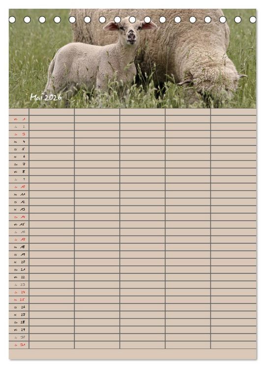 Produktbild: Der bel&auml;mmerte Familienplaner (Tischkalender 2026 DIN A5 hoch), CALVENDO Monatskalender