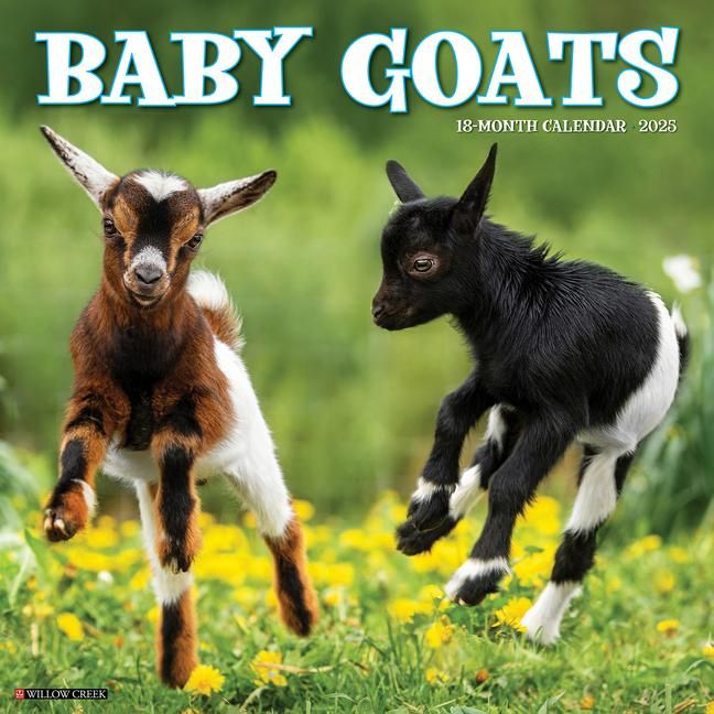 Produktbild: Baby Goats 2026 Wall Calendar