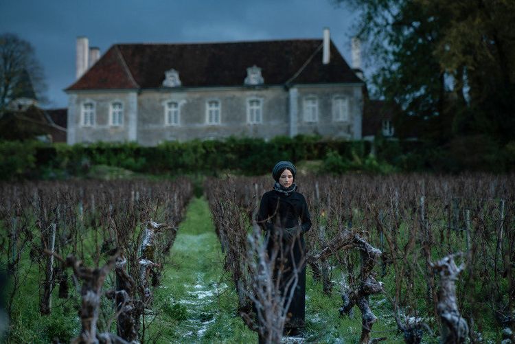 Produktbild: Die Witwe Clicquot