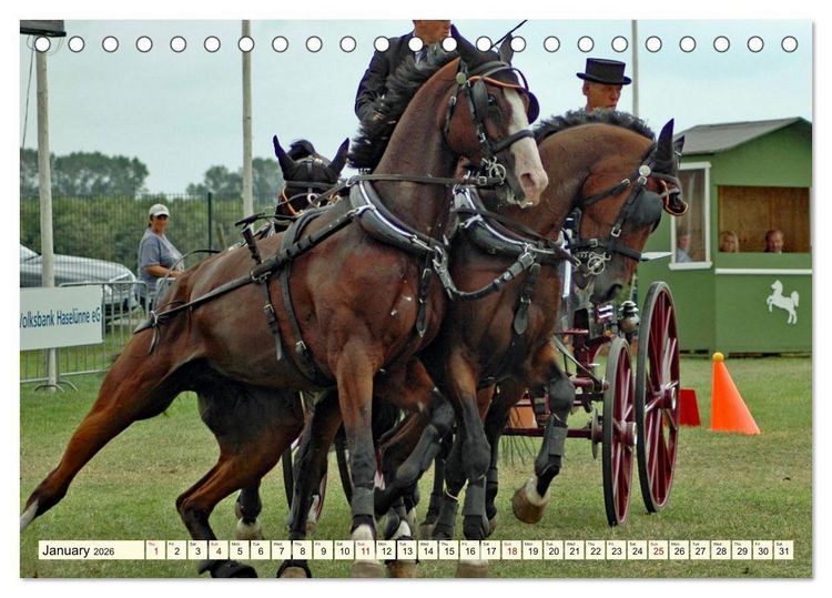 Produktbild: Four-in-hand Driving Challenge (Desk Calendar 2026 DIN A5 landscape), CALVENDO 12 Month DeskCalendar