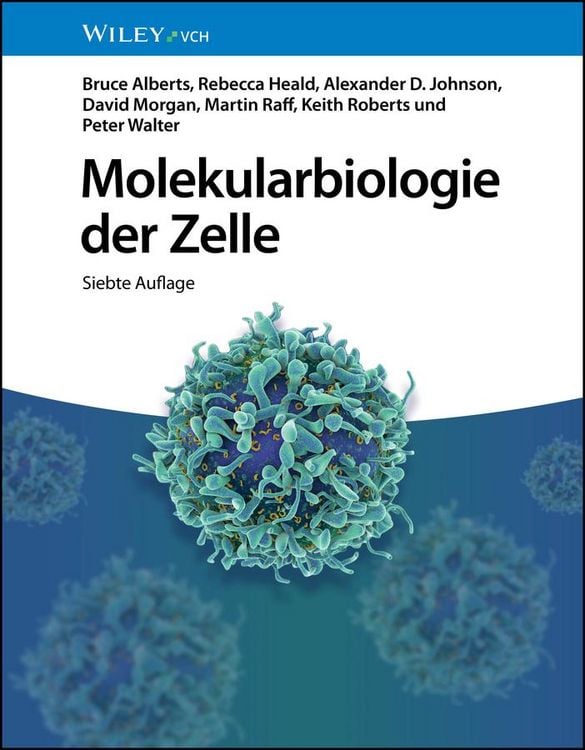 Produktbild: Molekularbiologie der Zelle