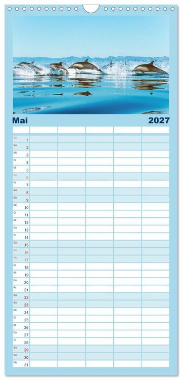 Produktbild: Familienplaner 2027 - Delfine: Elegante Wellenreiter mit 5 Spalten (Wandkalender, 21 x 45 cm) CALVENDO