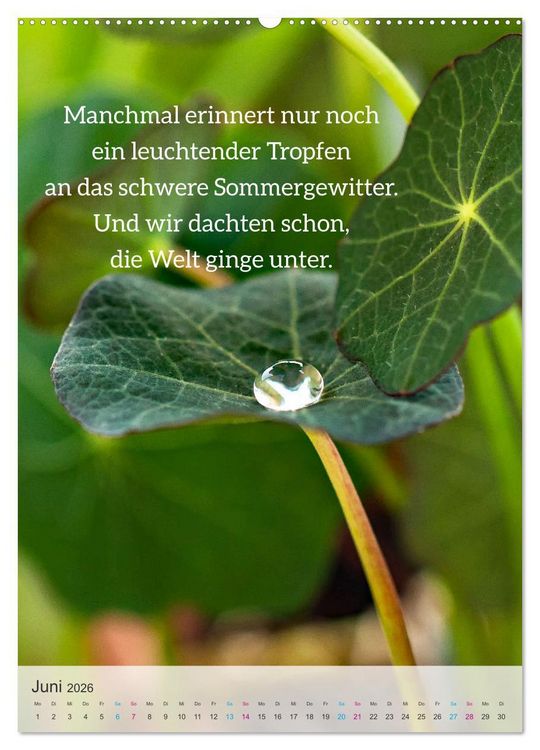 Produktbild: Manchmal - Poetische Momentaufnahmen (Wandkalender 2026 DIN A2 hoch), CALVENDO Monatskalender