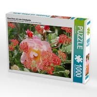 Produktbild: CALVENDO Puzzle Rosa Rose mit roter Schafgarbe | 1000 Teile Lege-Gr&ouml;&szlig;e 64x48cm Foto-Puzzle f&uuml;r gl&uuml;ckliche Stunden