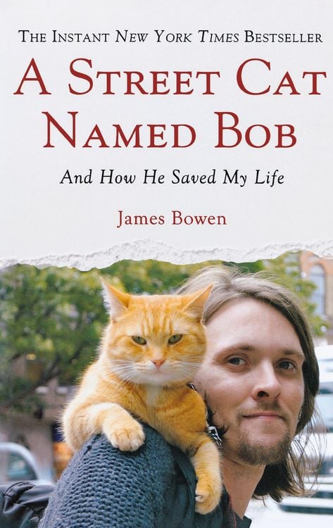 Produktbild: Street Cat Named Bob
