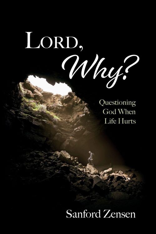 Produktbild: Lord, Why?