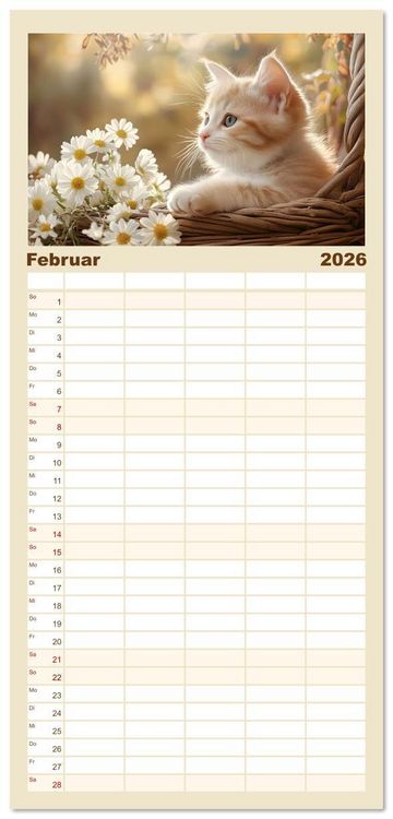 Produktbild: Familienplaner 2026 - Katzen - sanfte Sch&ouml;nheiten mit 5 Spalten (Wandkalender, 21 x 45 cm) CALVENDO