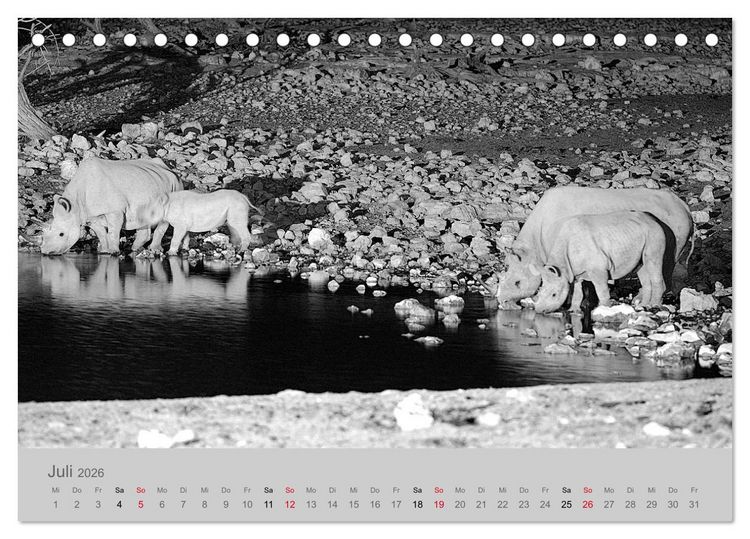 Produktbild: Die Seelen der wilden Tiere (Tischkalender 2026 DIN A5 quer), CALVENDO Monatskalender