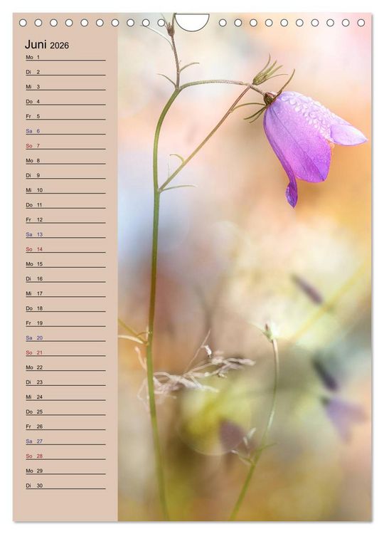 Produktbild: Pastell-Zauber (Wandkalender 2026 DIN A4 hoch), CALVENDO Monatskalender