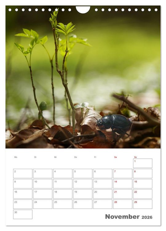 Produktbild: Helden in der Natur (Wandkalender 2026 DIN A4 hoch), CALVENDO Monatskalender