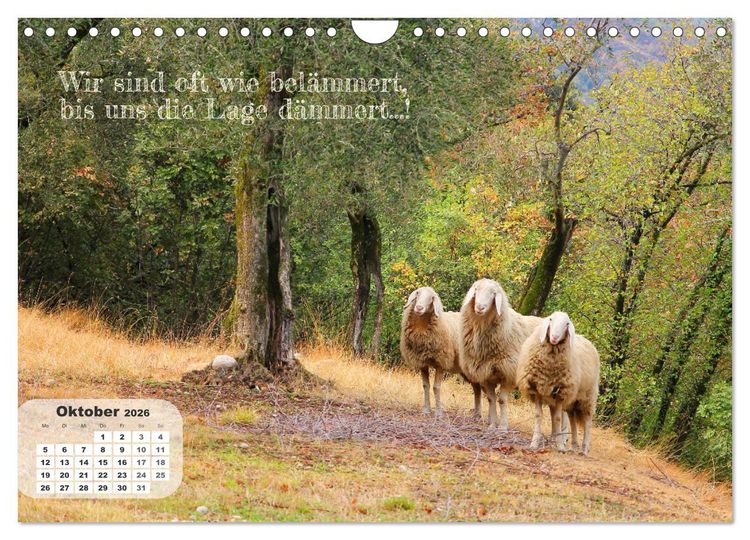 Produktbild: Tierisch und Heiter - Das Leben geht weiter 2026 (Wandkalender 2026 DIN A4 quer), CALVENDO Monatskalender