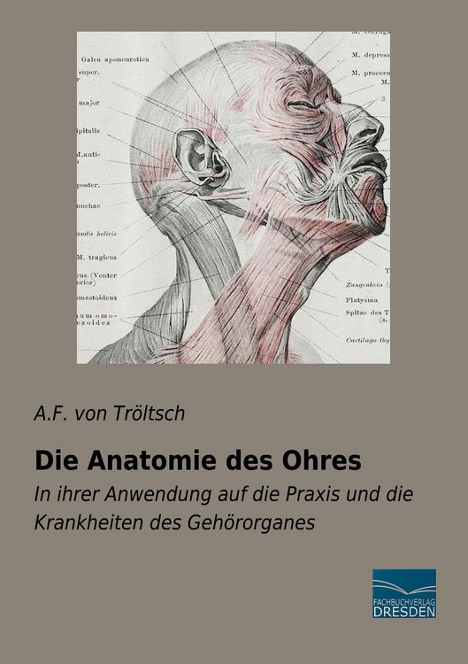 Produktbild: Die Anatomie des Ohres