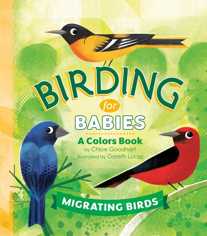 Produktbild: Birding for Babies: Migrating Birds
