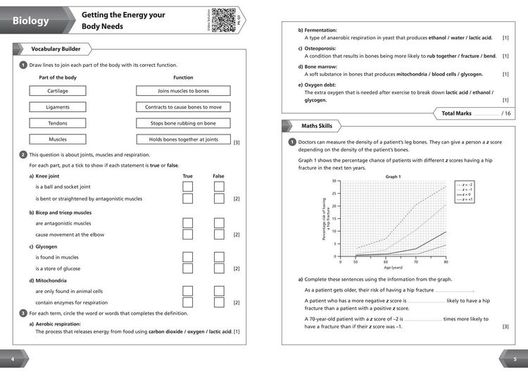 Produktbild: KS3 Science Year 8 Workbook