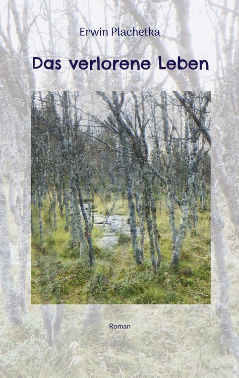 Produktbild: Das verlorene Leben