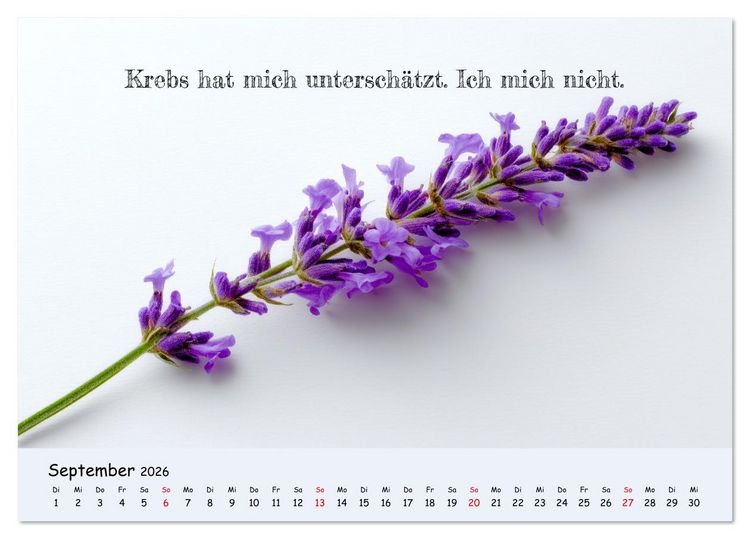 Produktbild: Krebs ist ein Vollidiot - Kalender f&uuml;r alle K&auml;mpfer mit Krebserkrankung (Tischkalender 2026 DIN A5 quer), CALVENDO Monatskalender