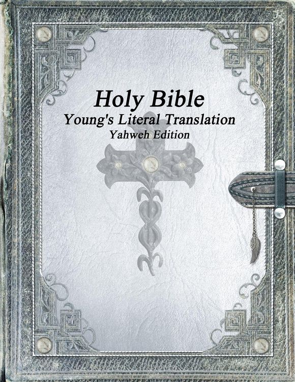Produktbild: Holy Bible