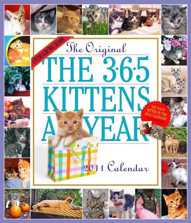Produktbild: The Original The 365 Kittens a Year Calendar