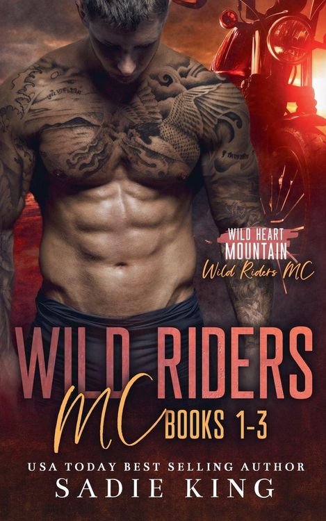 Produktbild: Wild Riders MC Books 1-3