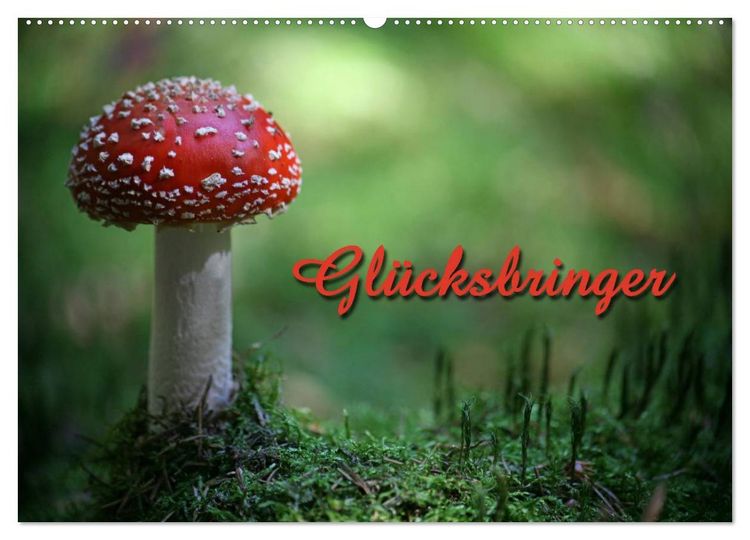 Produktbild: Gl&uuml;cksbringer (Wandkalender 2026 DIN A2 quer), CALVENDO Monatskalender