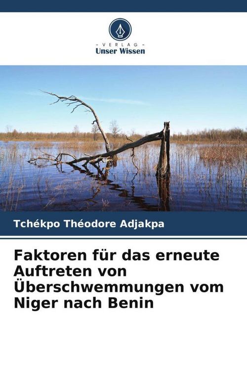 Produktbild: Faktoren f&uuml;r das erneute Auftreten von &Uuml;berschwemmungen vom Niger nach Benin