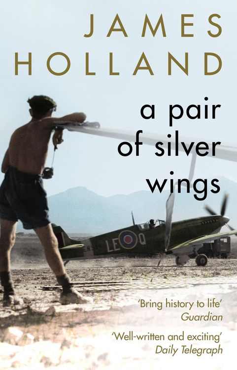 Produktbild: A Pair of Silver Wings
