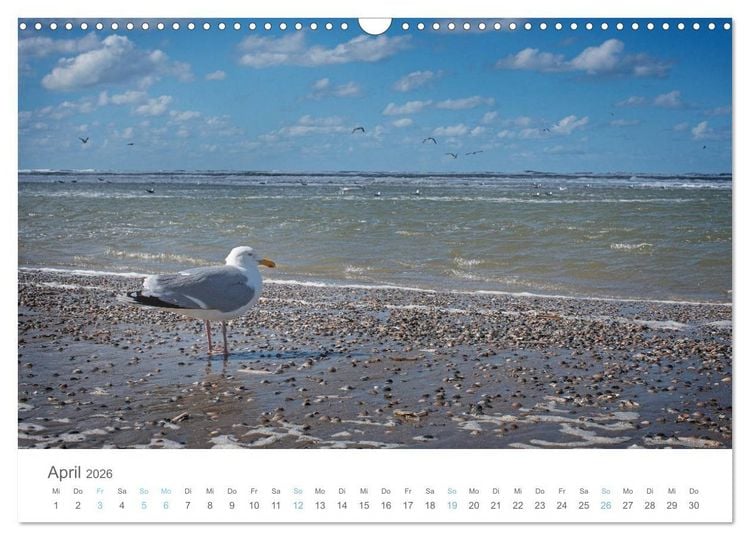 Produktbild: Juist - mein T&ouml;werland (Wandkalender 2026 DIN A3 quer), CALVENDO Monatskalender