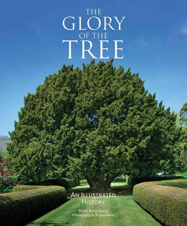 Produktbild: Glory Of The Tree