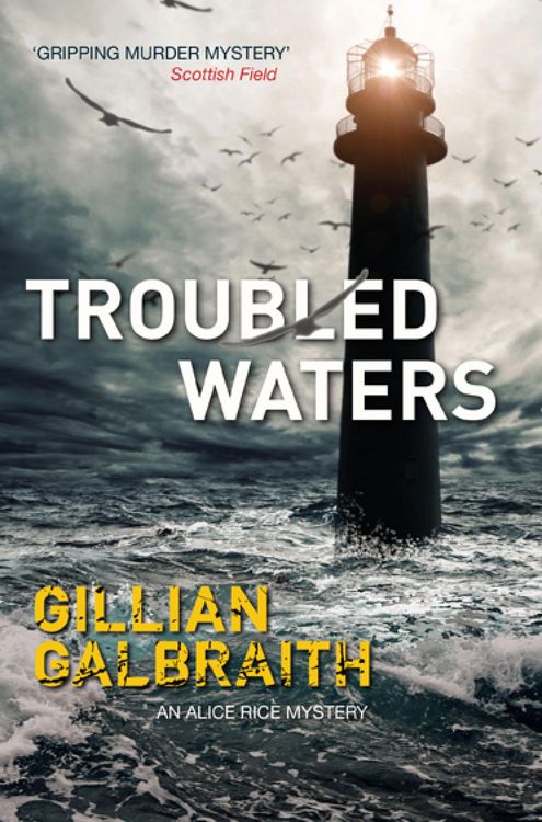 Produktbild: Troubled Waters