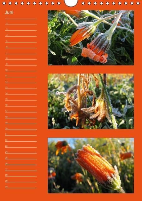 Produktbild: Zauberwelt der Blumen - Eiskristalle & Wasserperlen / Geburtstagskalender (Wandkalender immerw&auml;hrend DIN A4 hoch)