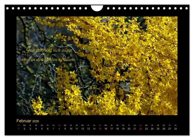 Produktbild: Goethes Gelb Gedanken zur Farbe (Wandkalender 2026 DIN A4 quer), CALVENDO Monatskalender