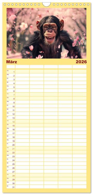 Produktbild: Familienplaner 2026 - Schimpansen - Ein Jahr mit Menschenaffen. mit 5 Spalten (Wandkalender, 21 x 45 cm) CALVENDO