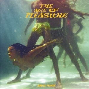 Produktbild: The Age Of Pleasure