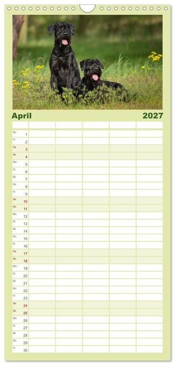 Produktbild: Familienplaner 2027 - Mit dem Riesenschnauzer durch das Jahr mit 5 Spalten (Wandkalender, 21 x 45 cm) CALVENDO