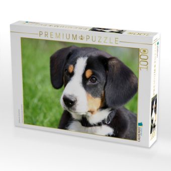 Produktbild: CALVENDO Puzzle Entlebucher Sennenhund | 1000 Teile Lege-Gr&ouml;&szlig;e 64x48cm Foto-Puzzle f&uuml;r gl&uuml;ckliche Stunden