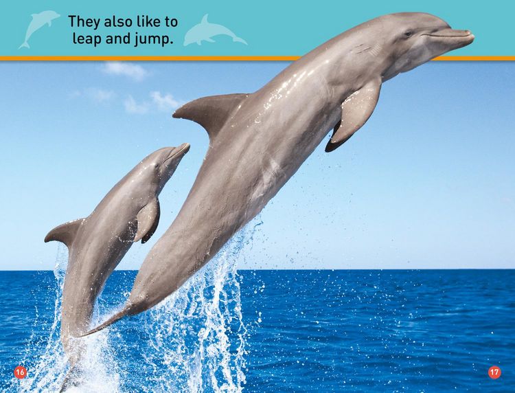 Produktbild: Dive, Dolphin!