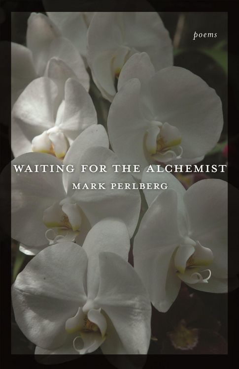 Produktbild: Waiting for the Alchemist