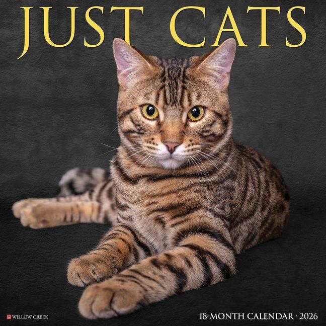 Produktbild: Cats 2026 Wall Calendar