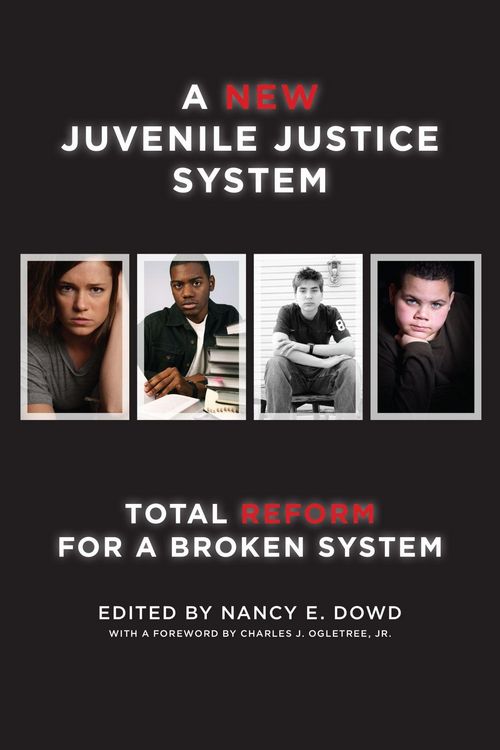 Produktbild: A New Juvenile Justice System