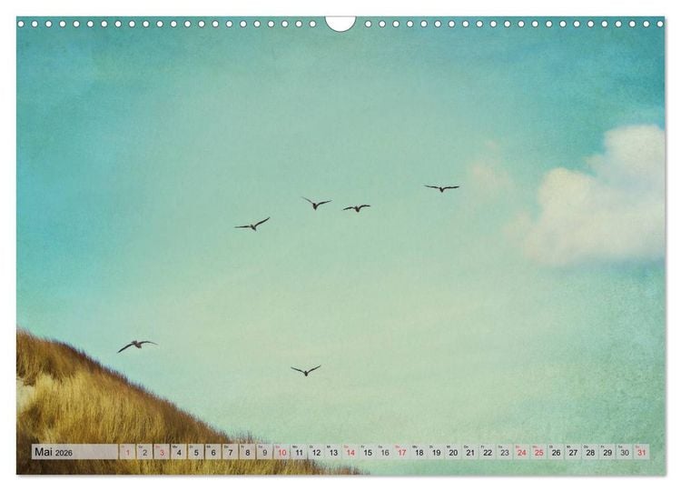 Produktbild: AMRUM Art (Wandkalender 2026 DIN A3 quer), CALVENDO Monatskalender