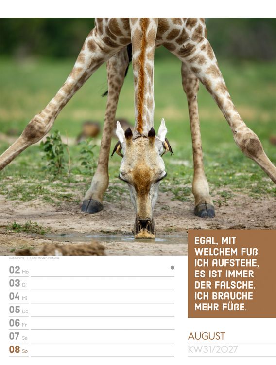 Produktbild: Tierisch Spr&uuml;chekalender Wochenplaner 2027